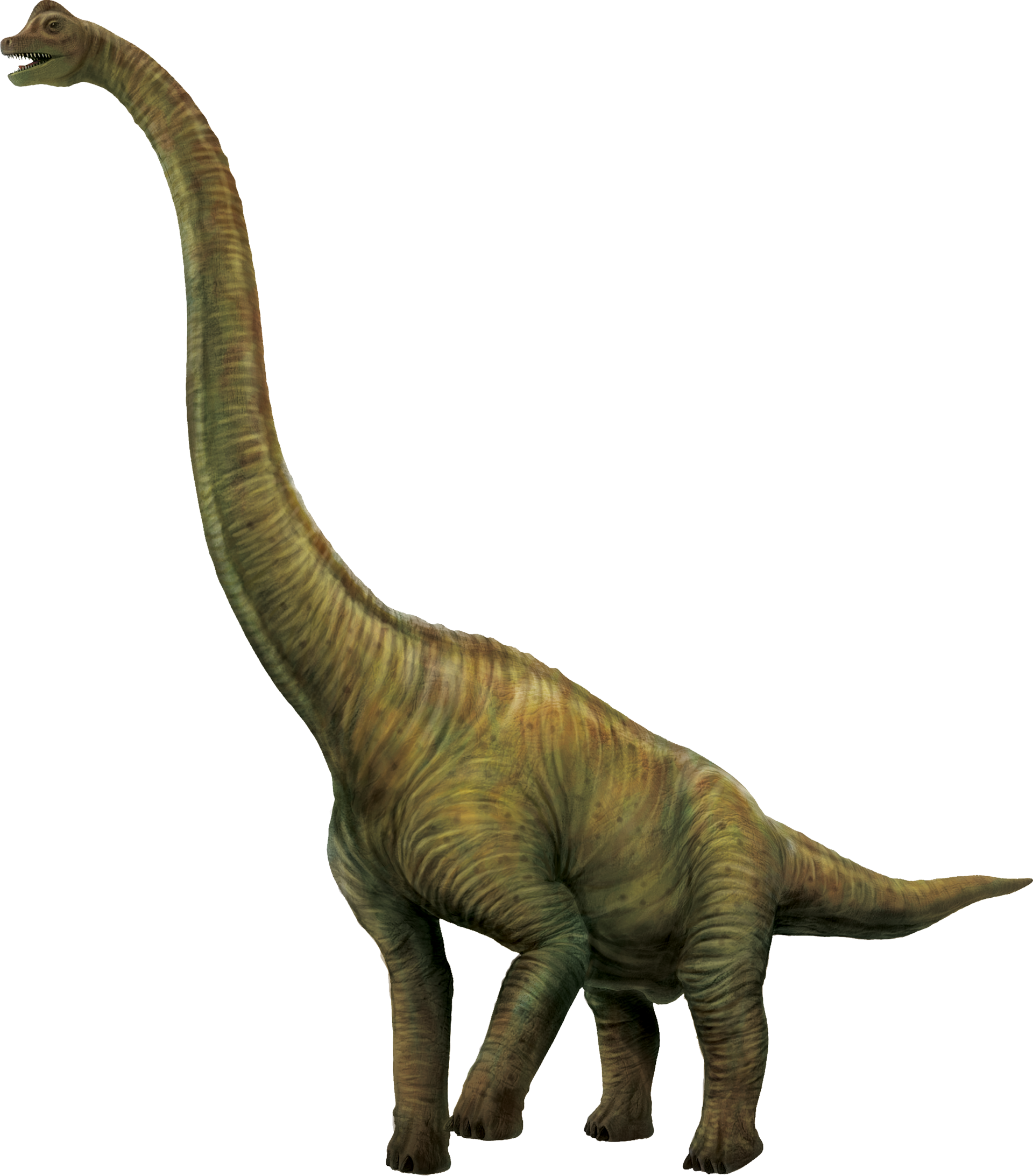 a4f329e1df4f1.png