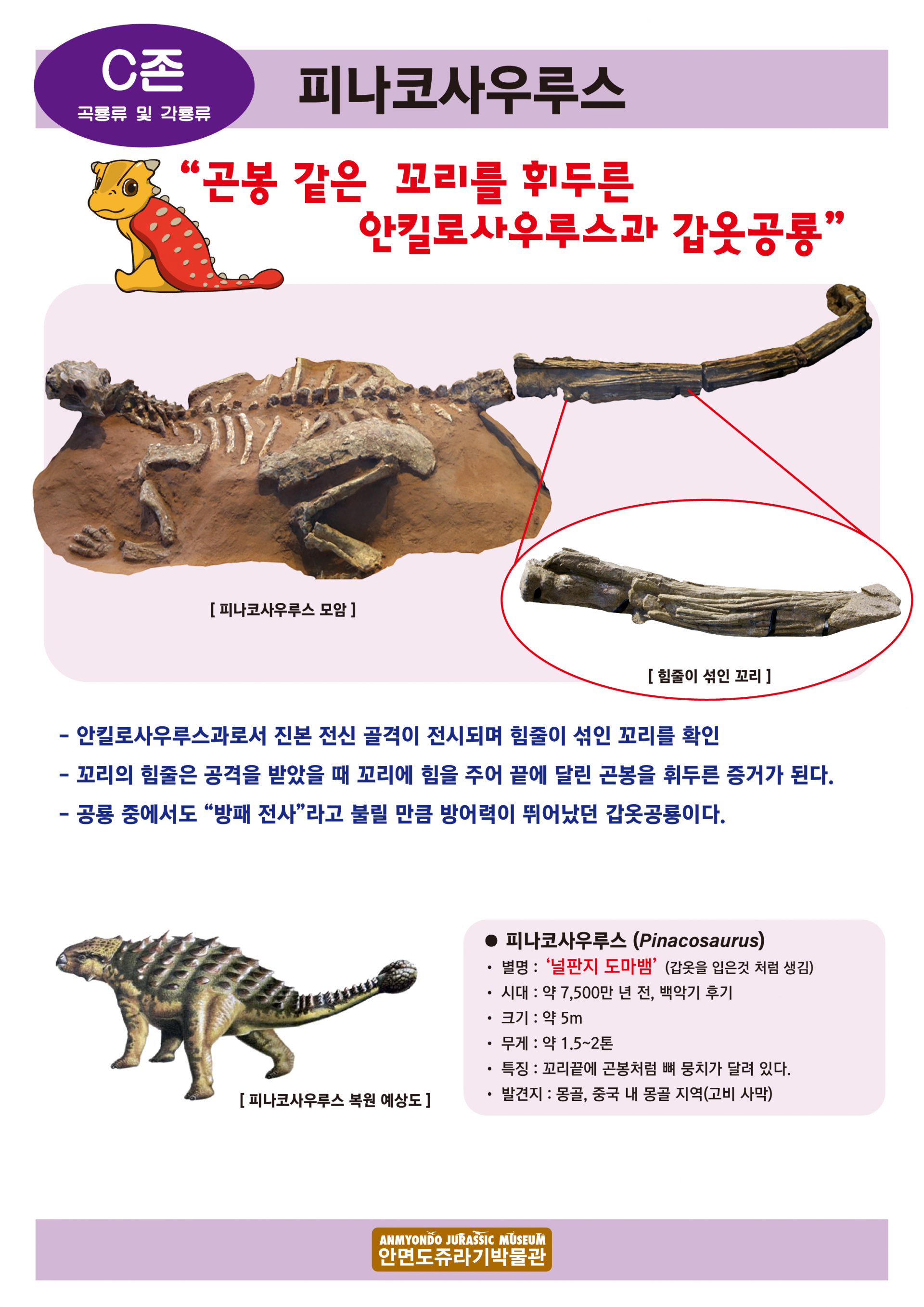 b7377923cf1c4.png