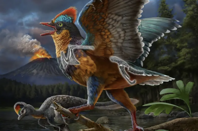 바미노르니스 정헨시스(Baminornis zhenghensis)를 상상해 그린 이미지. ZHAO Chuang