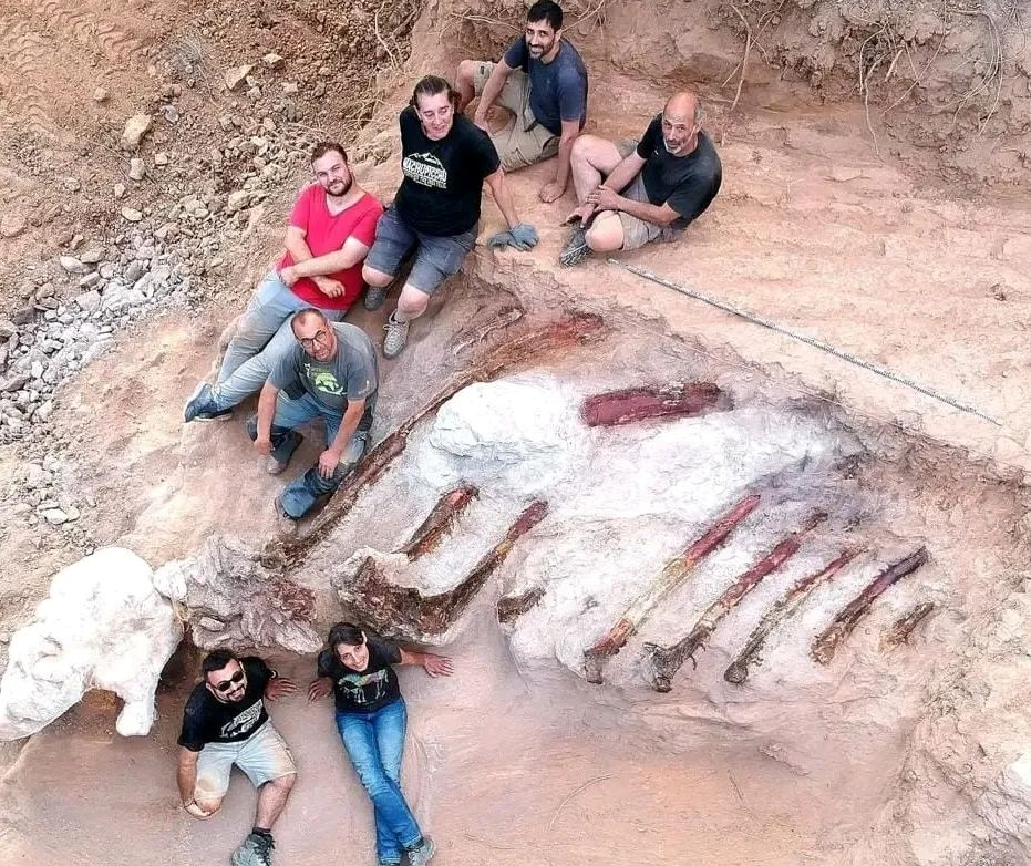 거대 용각류 공룡 화석 옆에서 발굴팀이 기념 촬영하고 있다. 사진=리스본 대학
