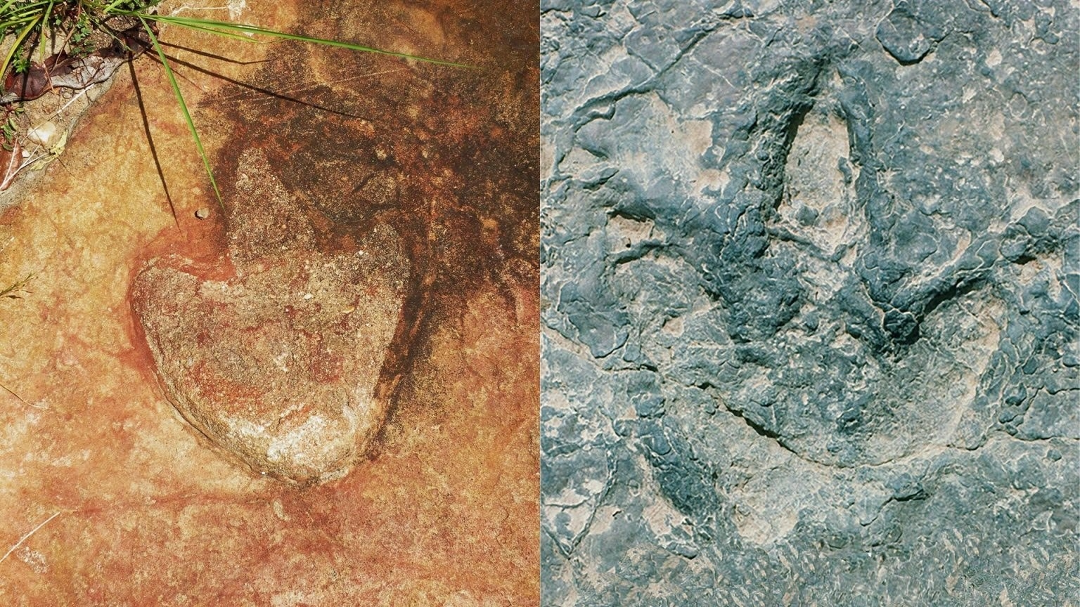 daa2d2a72d941.png