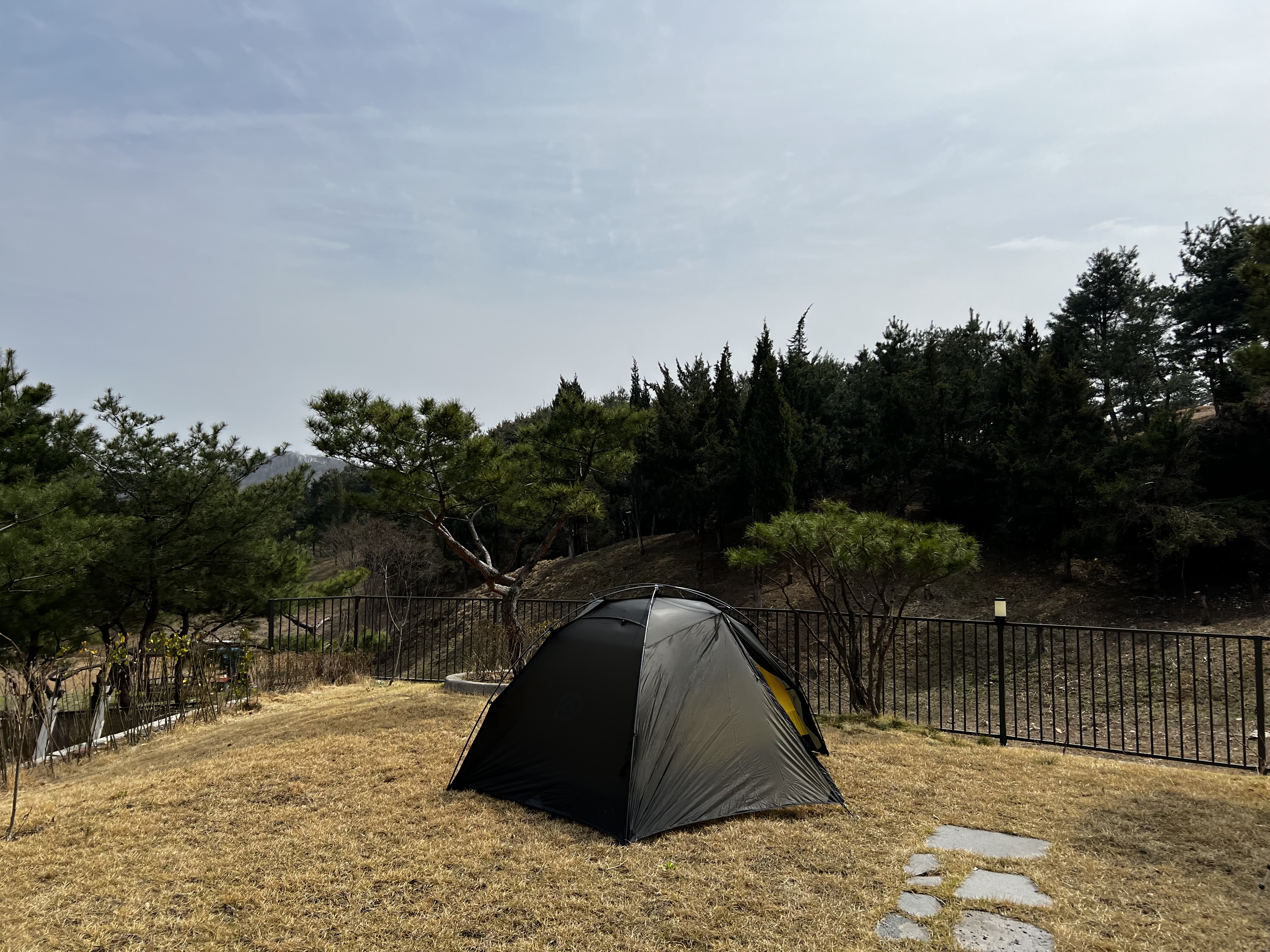 d90b88392d864.jpeg