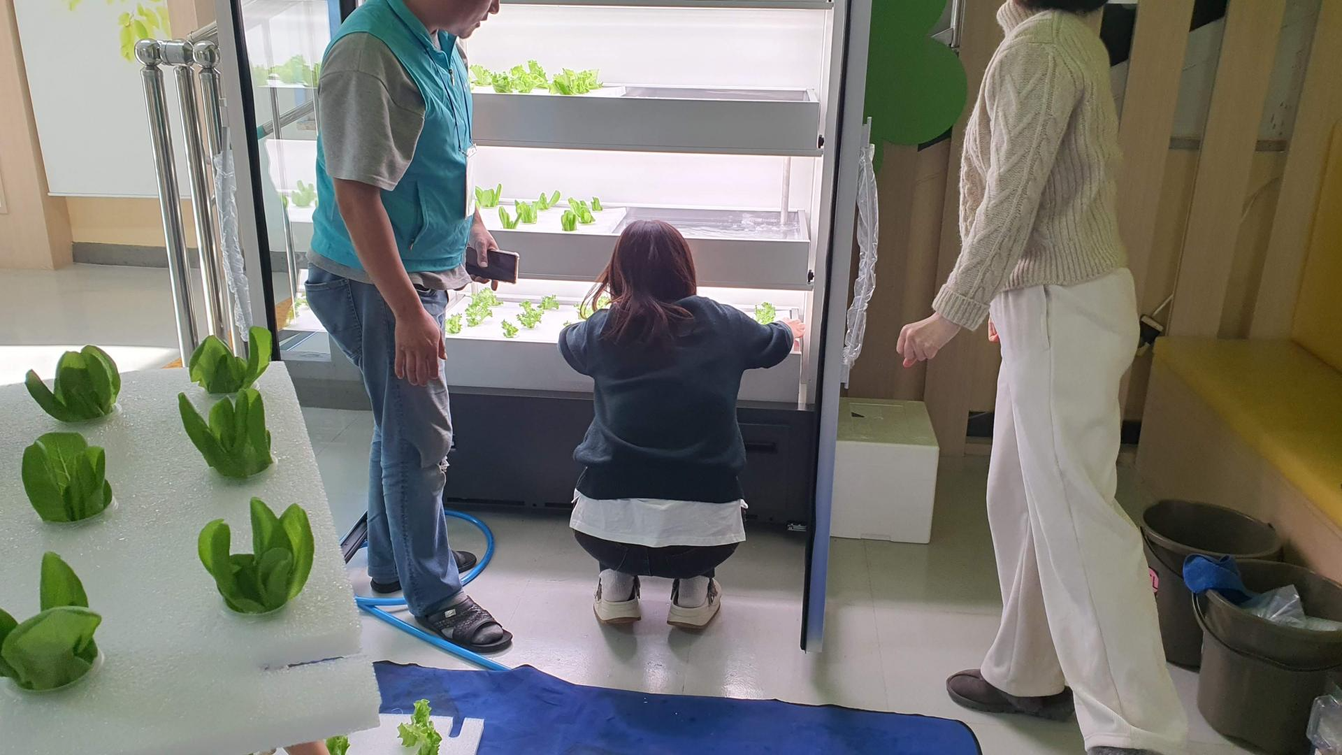 스마트팜 에코그램 식물재배기