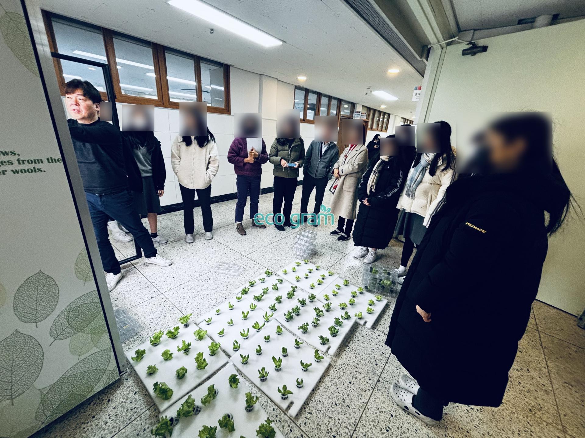 d6a8110d417e4.jpg