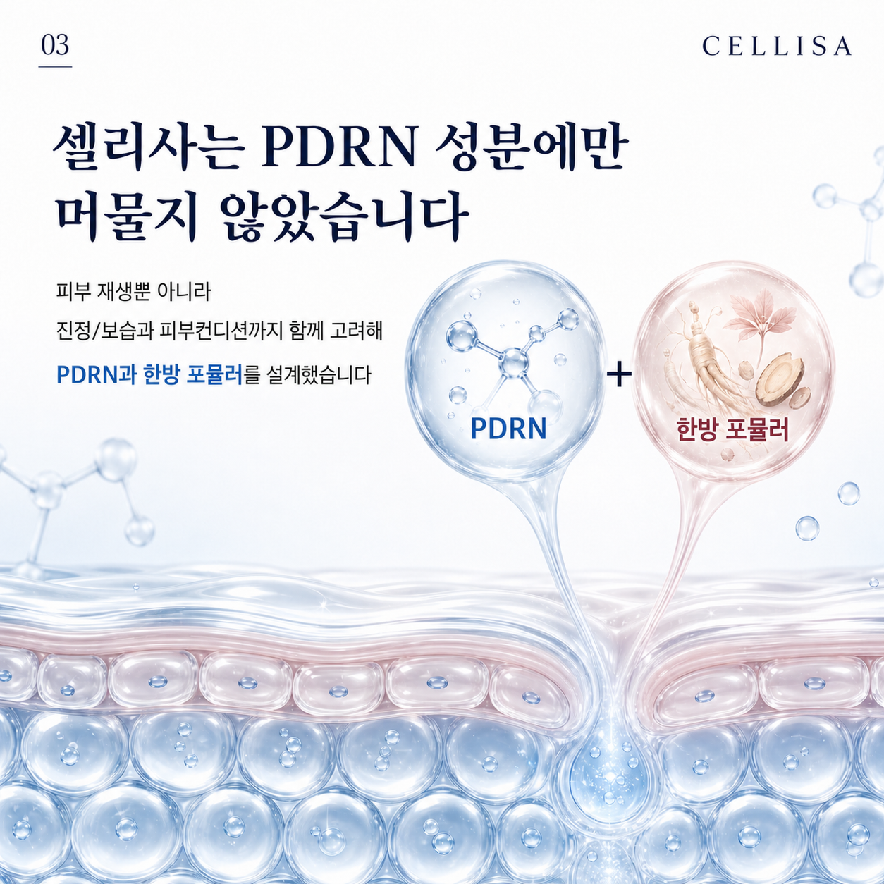 cd81b4687850e.png