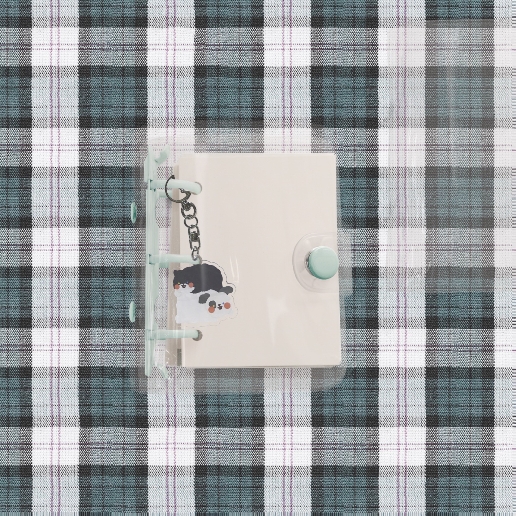 4809dcef4d22f.jpeg