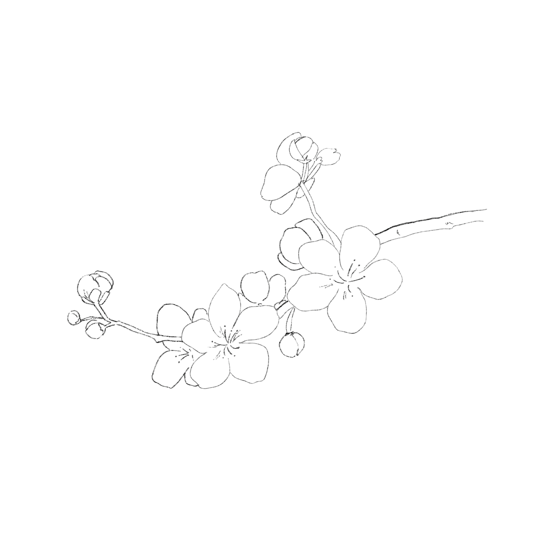 a0a2231ffc1c0.png