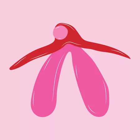 여성의 발기?! 클리토리스가 반응하는 방식 1 image png