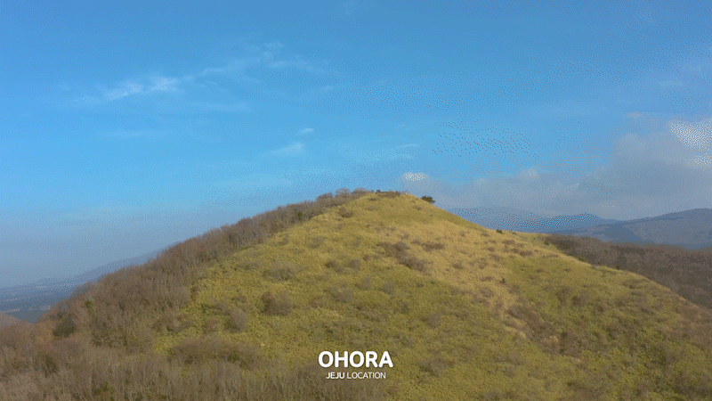 00a09e5ccd268.gif