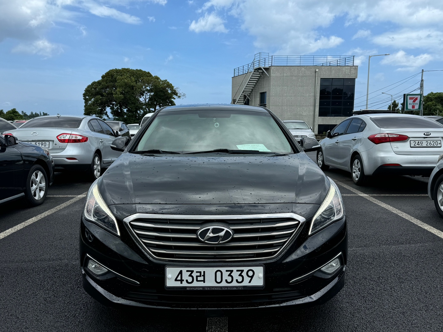 080dc801cc493.jpg