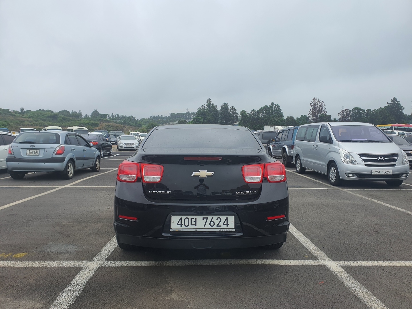 0f488d8862939.jpg