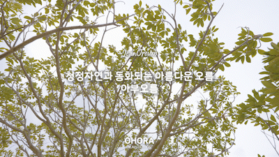 165710b044112.gif