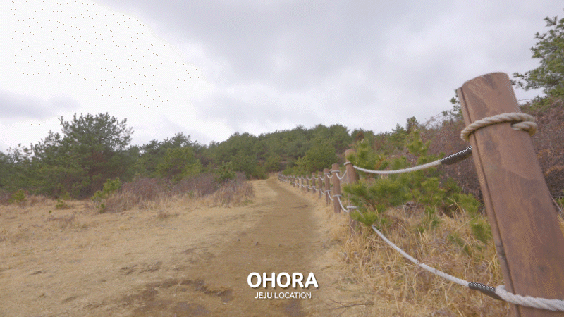 174305c5e0859.gif
