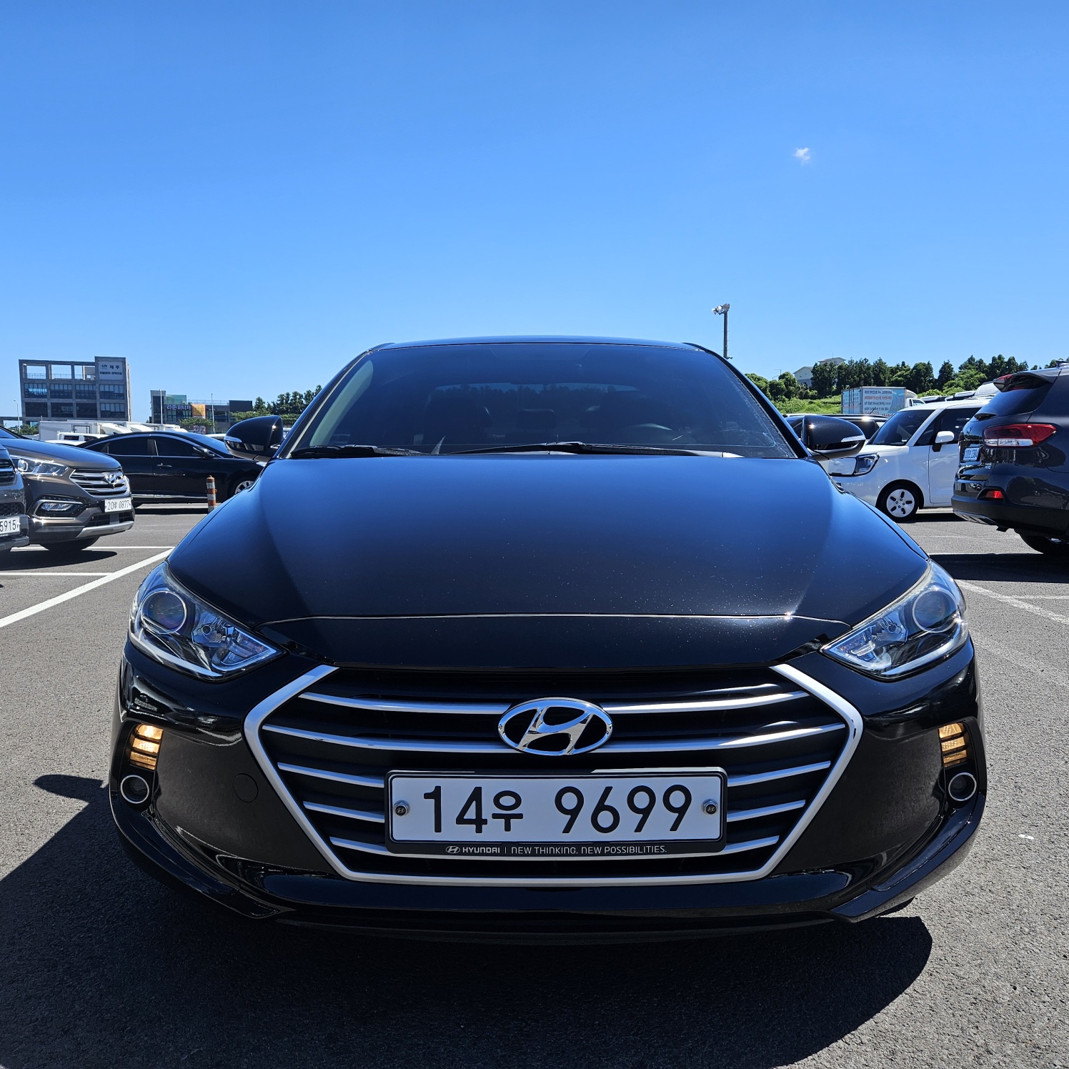 1a989ab3d4433.jpg