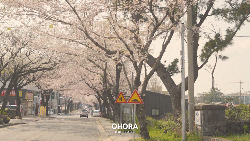 2d0e8a2d20a14.gif