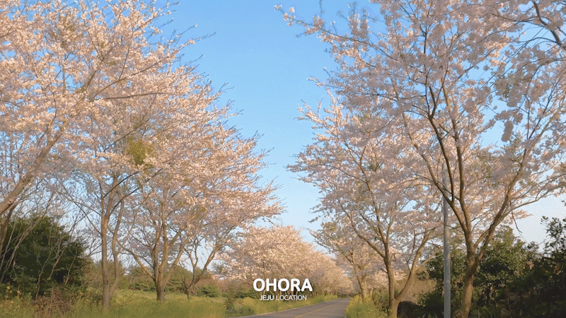 3a2dc20350895.gif
