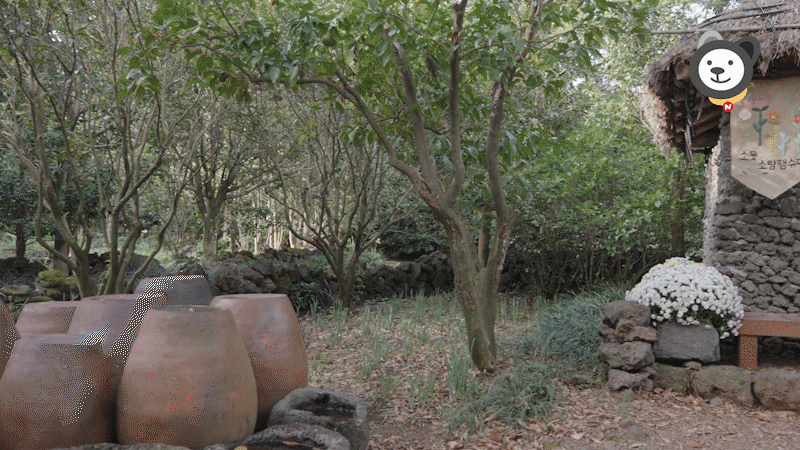 3f6f6218cf36b.gif