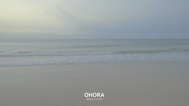 77351d845bf13.gif