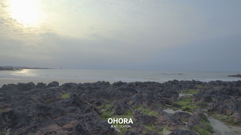 792053a9b0ed0.gif