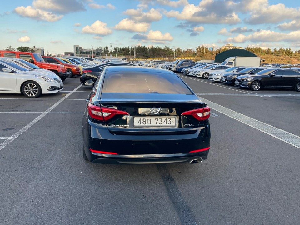 7939879329f49.jpg