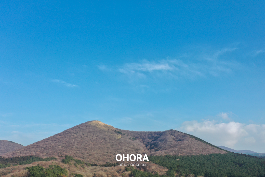 8c8a62f40f650.png