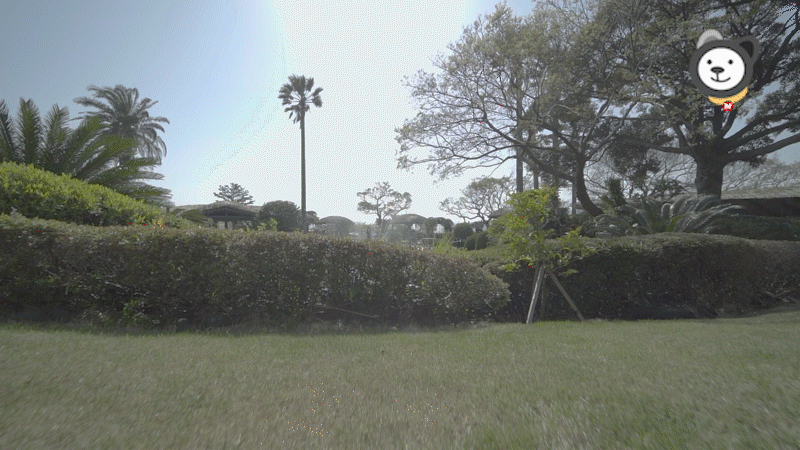 c023a04cbefb8.gif