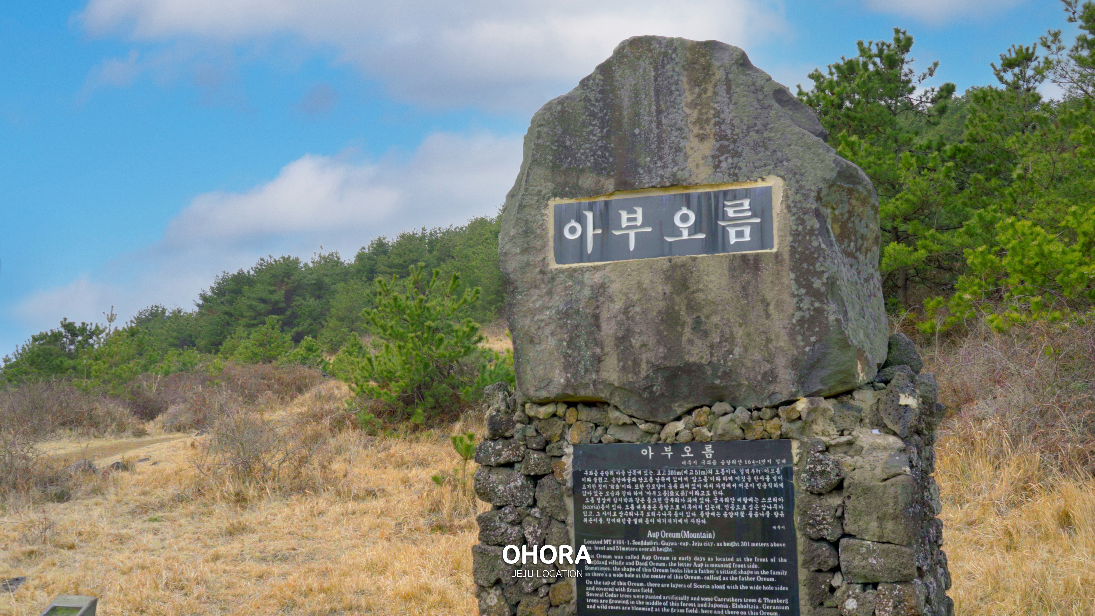 cb0310f8c91a9.jpg