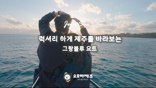 d1743ee2c729a.gif