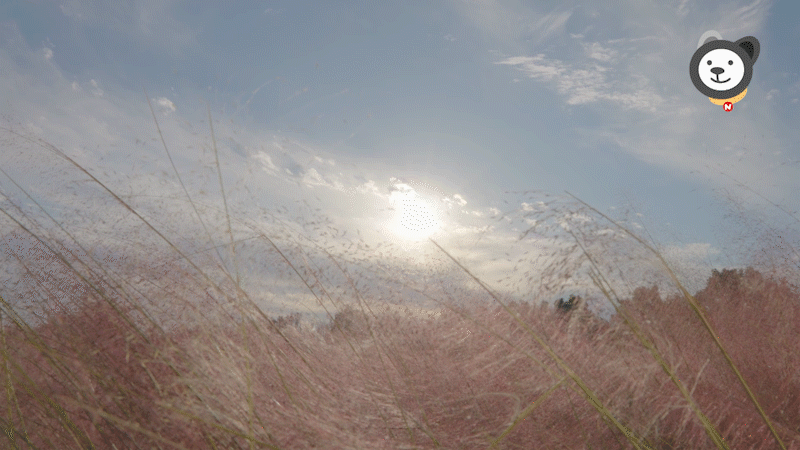 d864a8392852a.gif