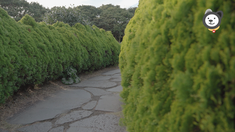 de3f22e77099f.gif