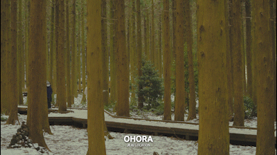 ff5479807c49d.gif