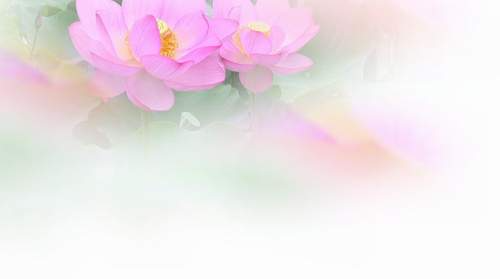 83ee141452d44.png