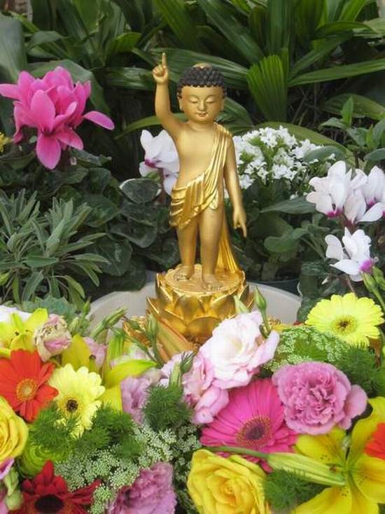 dd9e1aa327a6f.jpeg