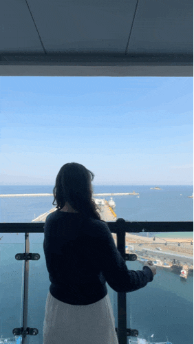 5ccf887d18834.gif