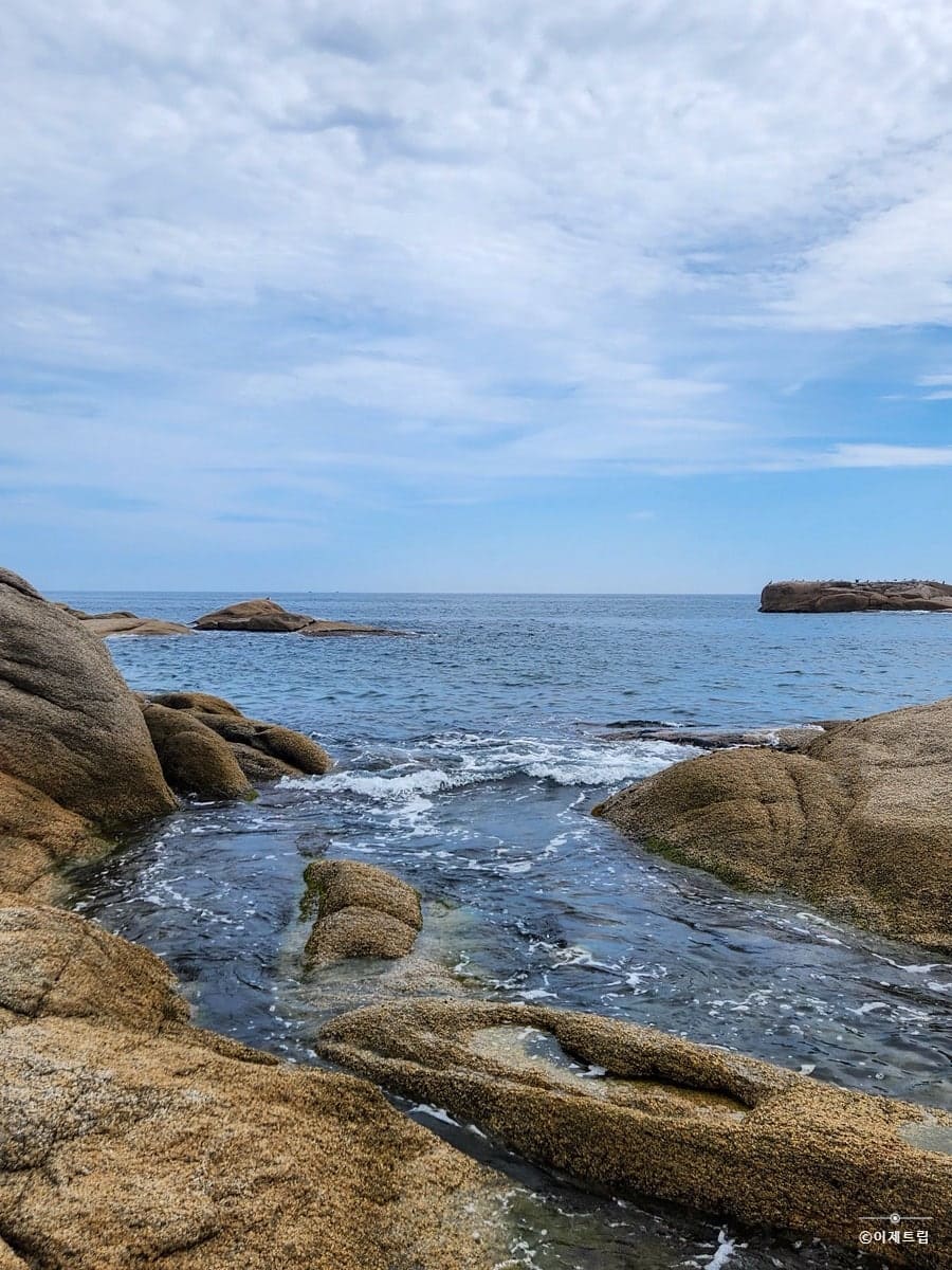 7169534590387.jpg