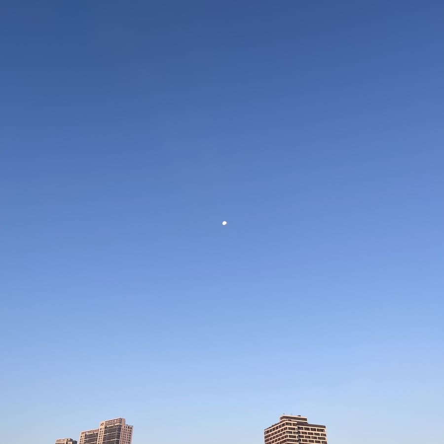 991292f76cb38.jpg