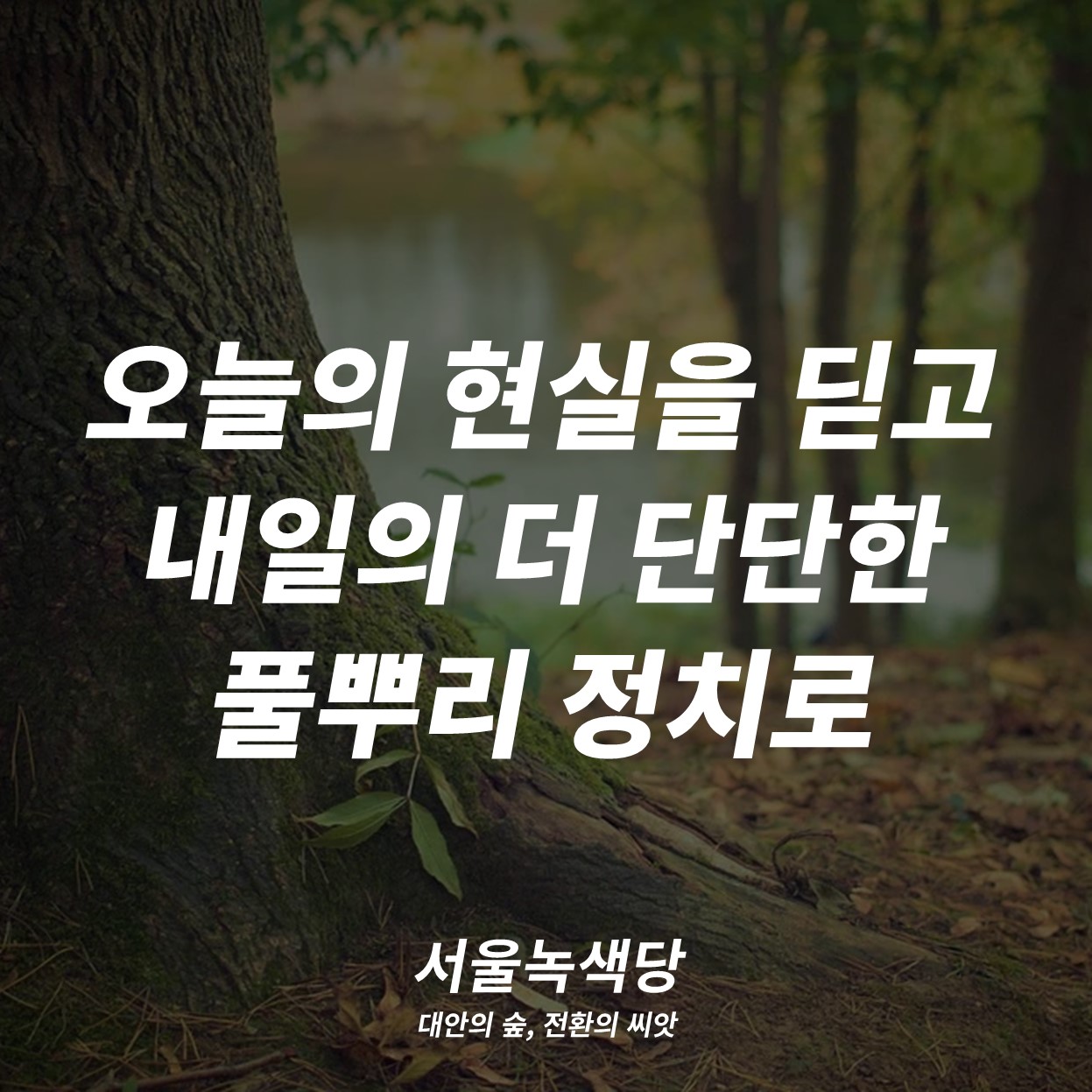 5f78c244eb011.jpg