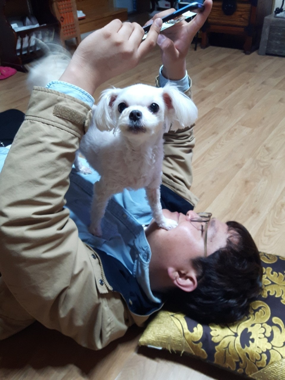 사용자가 올린 이미지