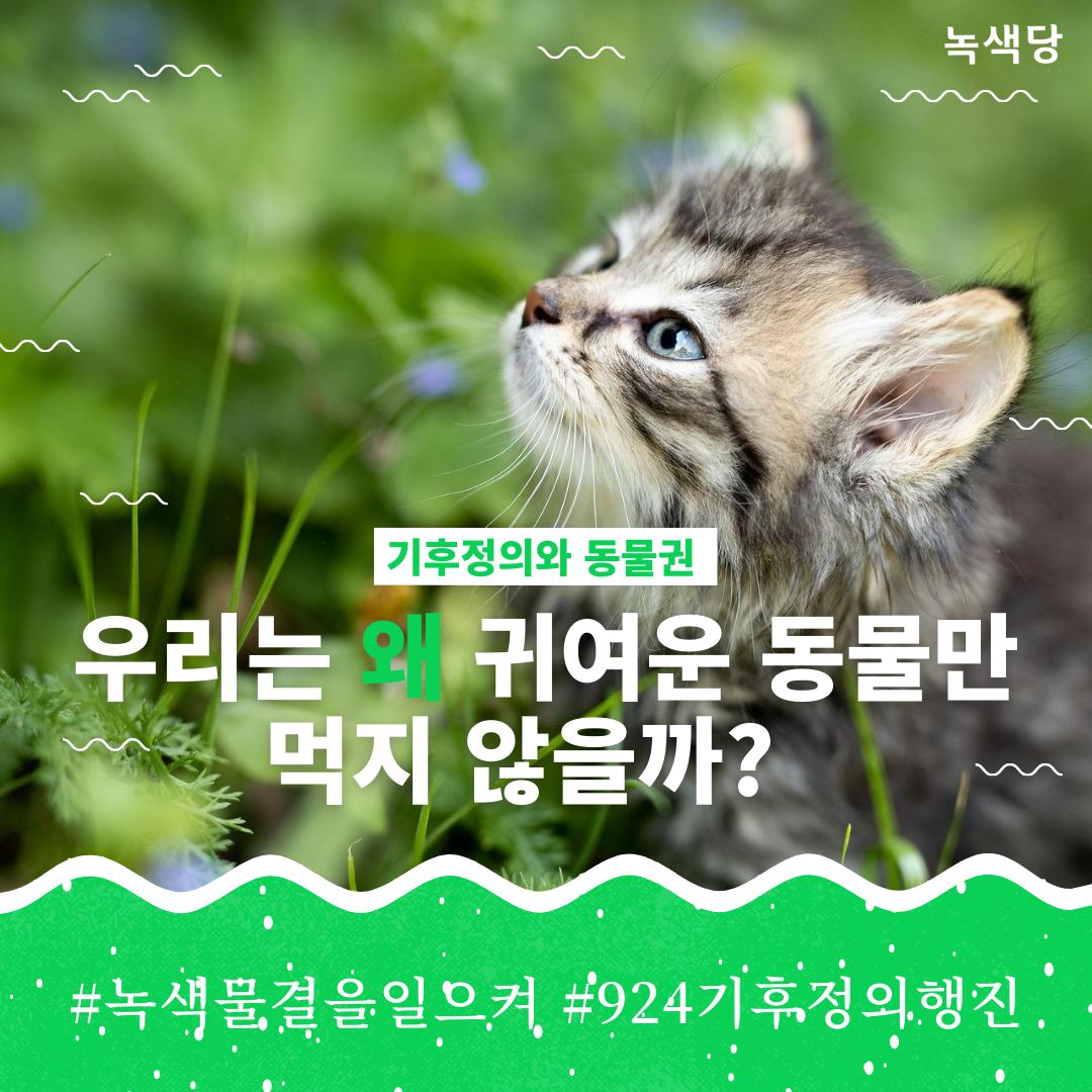 정말 귀여운 동물의 이미지