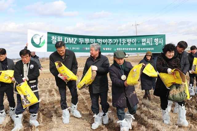 ▲혹한기 두루미 등 겨울철새의 안정적인 겨울나기를 위해 겨울 무논조성지 주변 등에서 우렁이와 볍씨 등 먹이주기 행사를 했다. ⓒ원주지방환경청