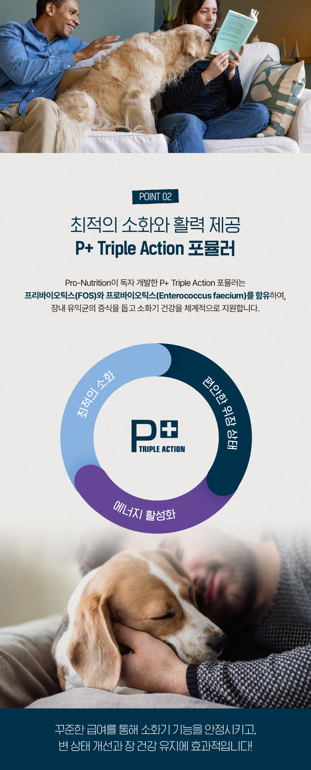 (오프라인) 프랑스 [프레스티지] 독 시니어 맥시 (6세 이상) 14kg * 1개