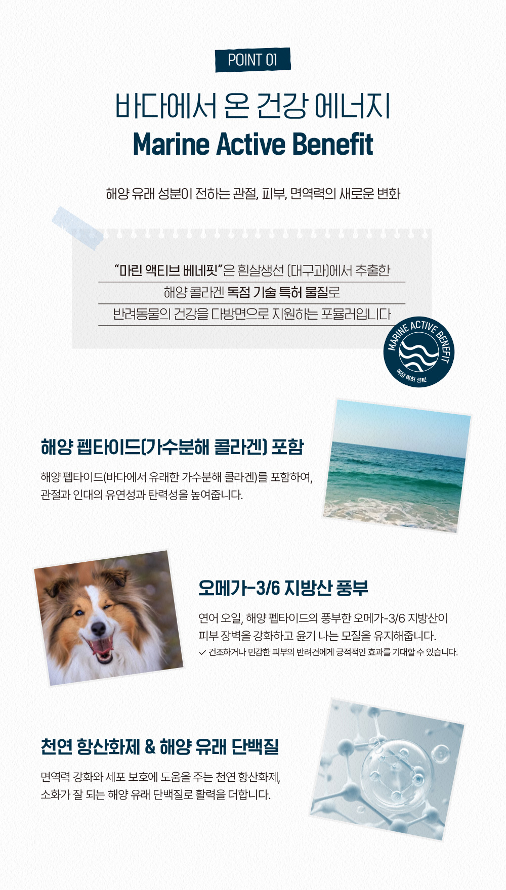 (오프라인) 프랑스 [프레스티지] 독 어덜트 맥시 14kg * 1개