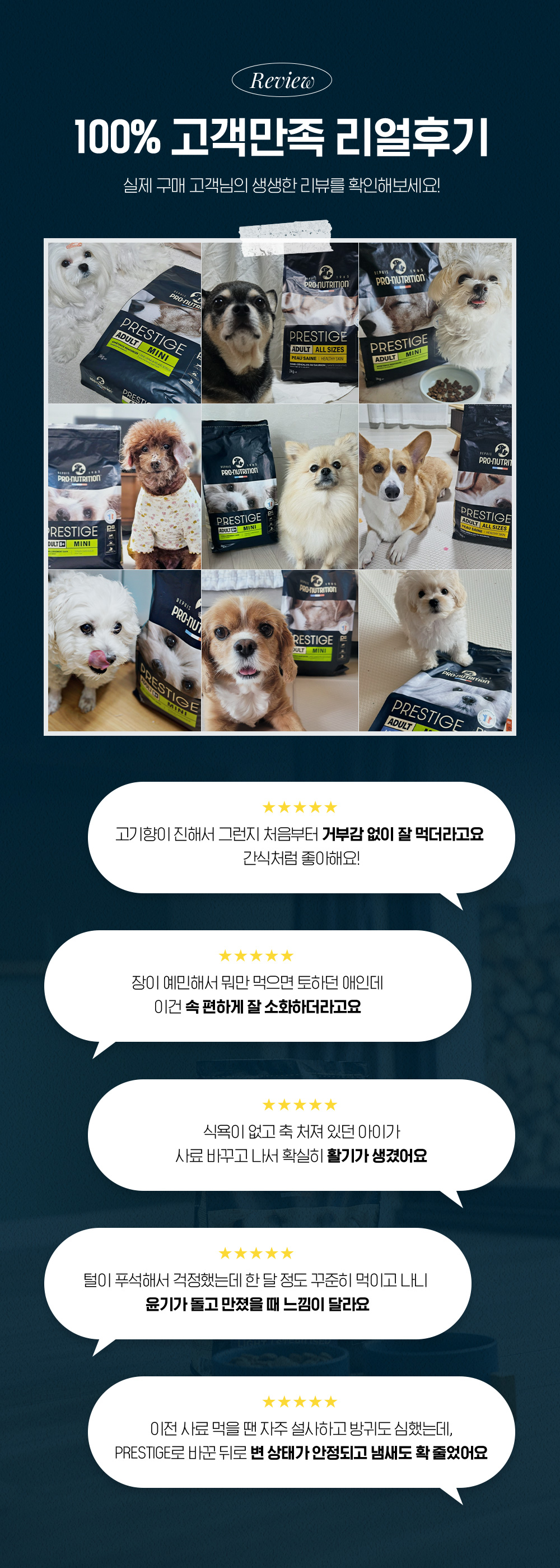 (오프라인) 프랑스 [프레스티지] 독 어덜트 맥시 14kg * 1개