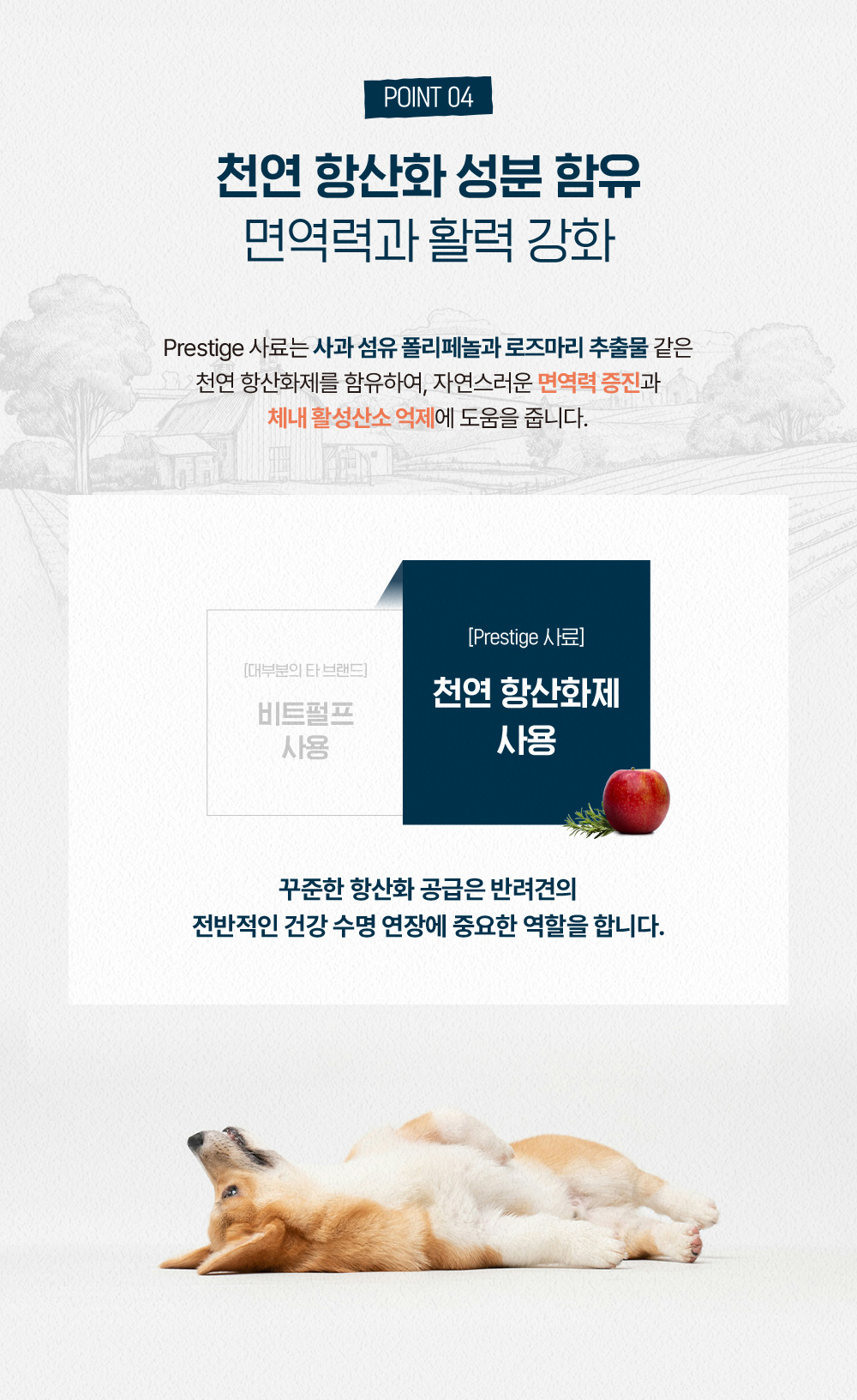 (오프라인) 프랑스 [프레스티지] 독 어덜트 맥시 14kg * 1개