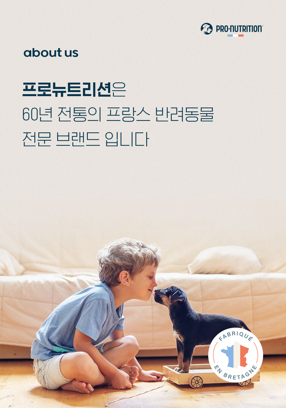 (오프라인) 프랑스 [프레스티지] 독 시니어 맥시 (6세 이상) 14kg * 1개