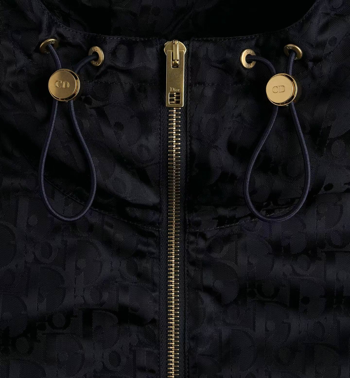 디올 오블리크 숏 후드 자켓