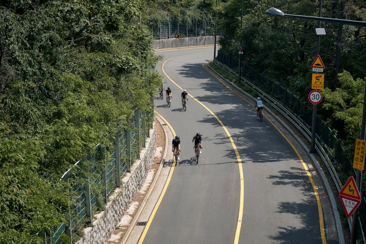 95a2cde1d72bb.jpeg