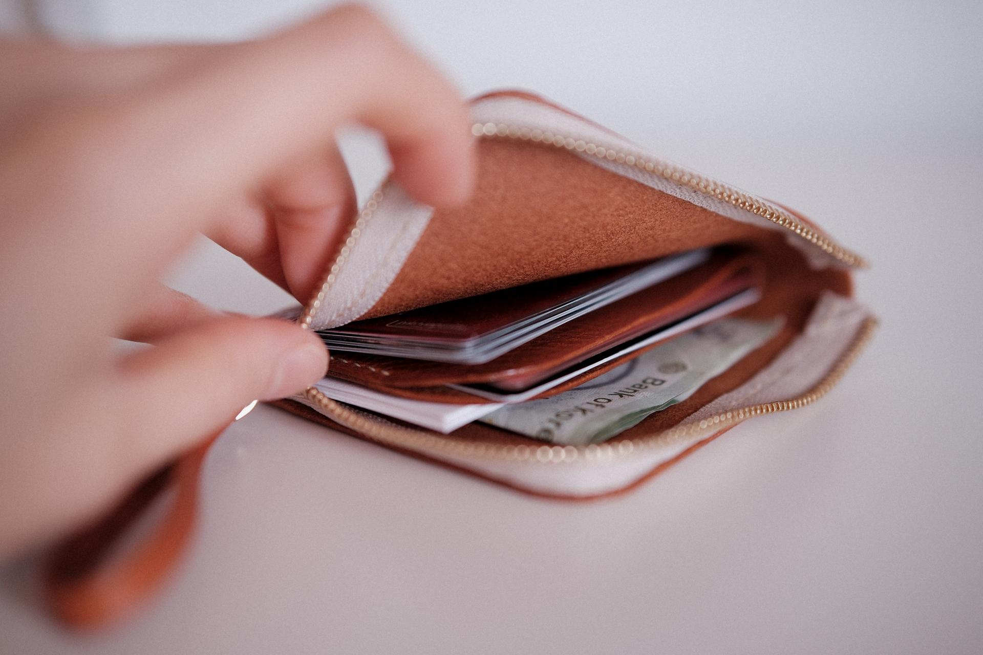 slice of. Calm Zip Wallet