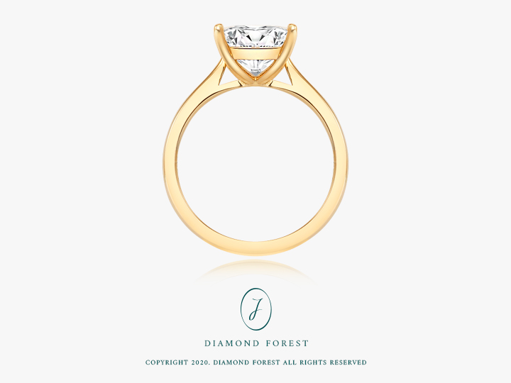 Princess Fairy 2ct | Fancy (진행중)