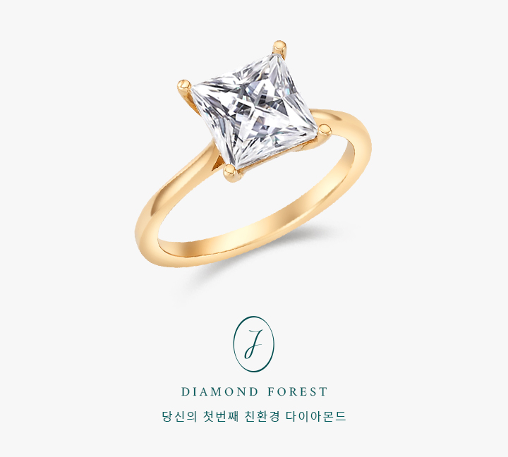 Princess Fairy 2ct | Fancy (진행중)